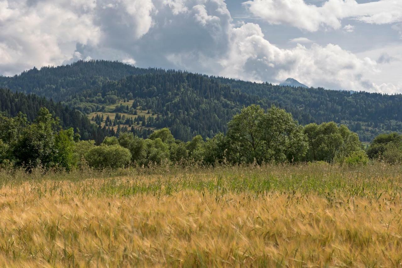 Domki U Kromki Kacwin Buitenkant foto